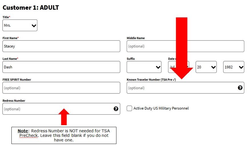 TSA Pre Check-in at Spirit Airlines