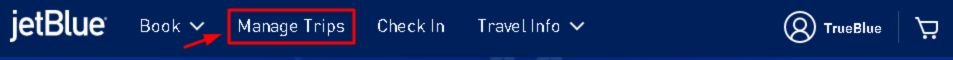 JetBlue Manage Booking