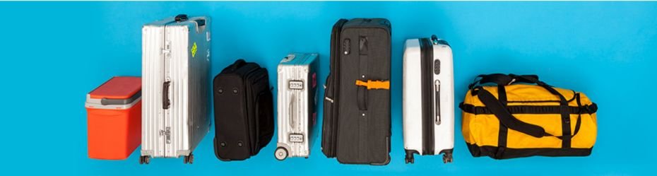 non-standard and special baggage